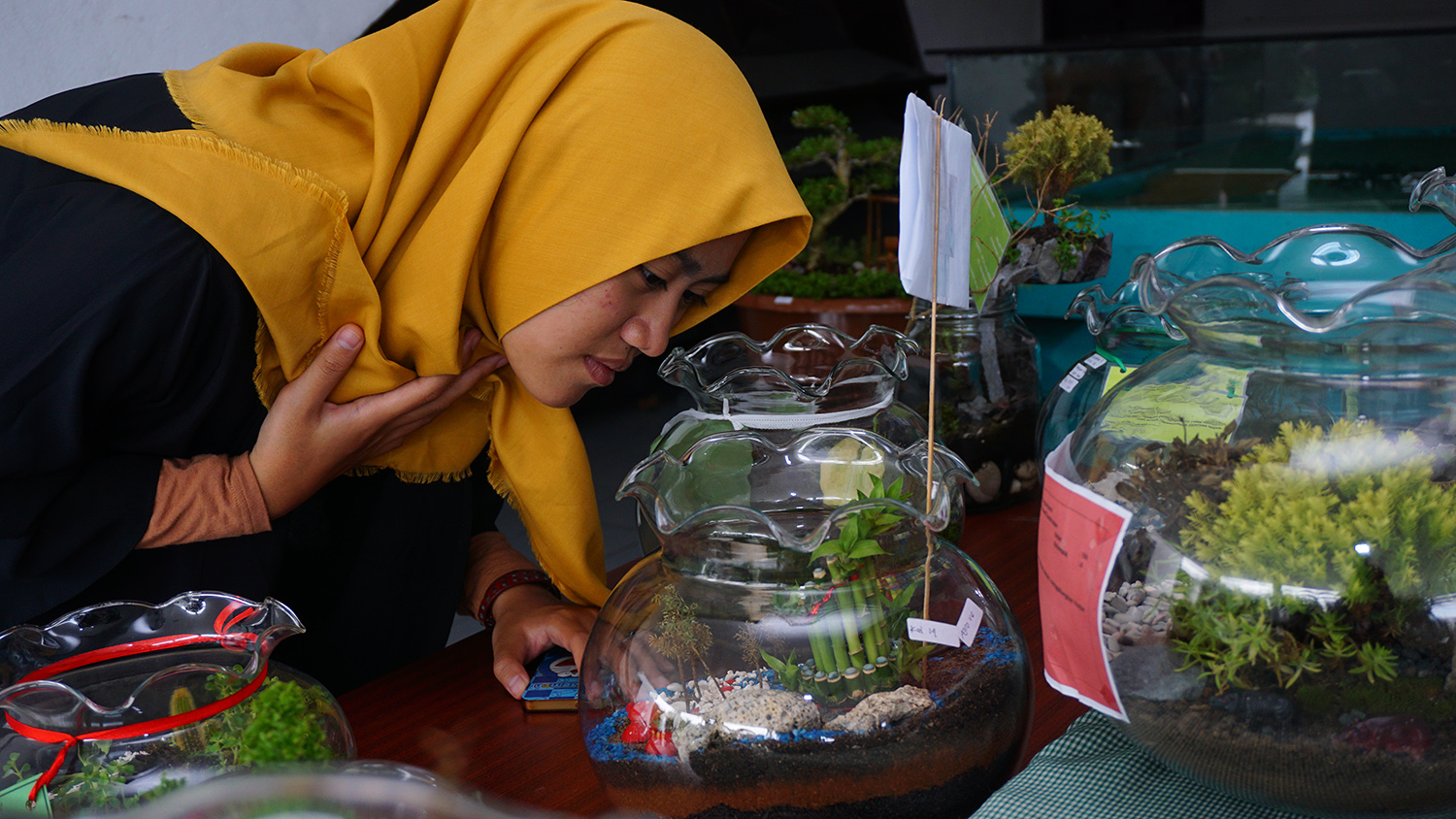 Mahasiswa UMM saat mengamati tanaman hias di pameran Agro. خلق قسم الزراعة